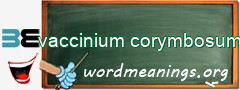 WordMeaning blackboard for vaccinium corymbosum